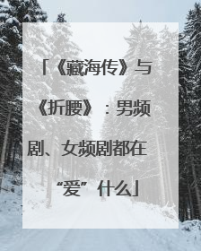 《藏海传》与《折腰》：男频剧、女频剧都在“爱”什么