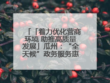 「着力优化营商环境 助推高质量发展」瓜州:“全天候”政务服务惠企便民