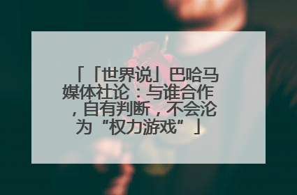「世界说」巴哈马媒体社论：与谁合作，自有判断，不会沦为“权力游戏”