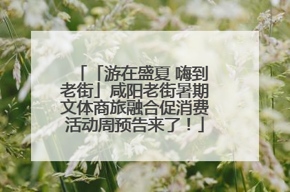 「游在盛夏 嗨到老街」咸阳老街暑期文体商旅融合促消费活动周预告来了！