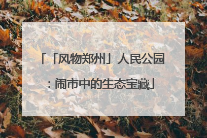 「风物郑州」人民公园：闹市中的生态宝藏