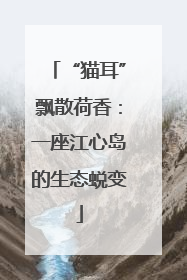 “猫耳”飘散荷香：一座江心岛的生态蜕变