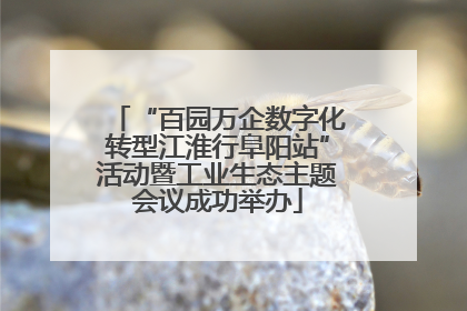 “百园万企数字化转型江淮行阜阳站”活动暨工业生态主题会议成功举办
