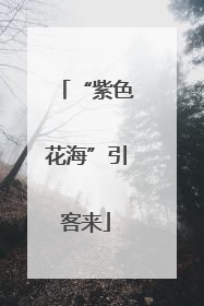 “紫色花海”引客来