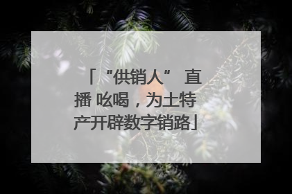 “供销人” 直播 吆喝，为土特产开辟数字销路