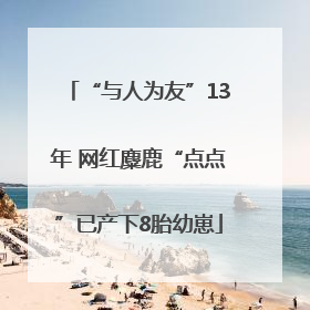“与人为友”13年 网红麋鹿“点点”已产下8胎幼崽