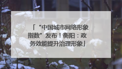 “中国城市网络形象指数”发布！衡阳：政务效能提升治理形象