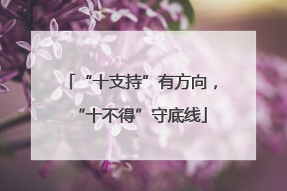 “十支持”有方向，“十不得”守底线