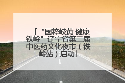 “国粹岐黄 健康铁岭”辽宁省第二届中医药文化夜市（铁岭站）启动
