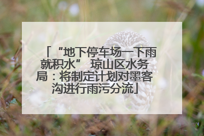“地下停车场一下雨就积水” 琼山区水务局：将制定计划对墨客沟进行雨污分流