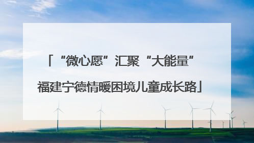 “微心愿”汇聚“大能量” 福建宁德情暖困境儿童成长路