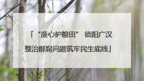 “廉心护粮田” 德阳广汉整治群腐问题筑牢民生底线