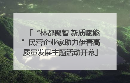 “林都聚智 新质赋能”民营企业家助力伊春高质量发展主题活动开幕