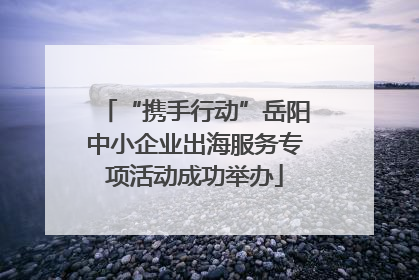 “携手行动”岳阳中小企业出海服务专项活动成功举办