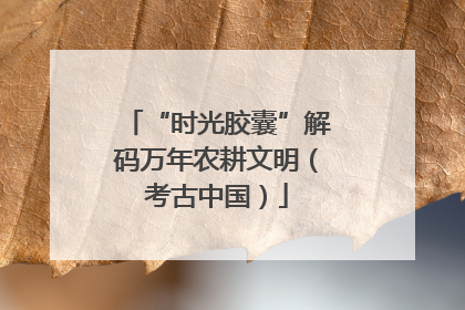 “时光胶囊”解码万年农耕文明（考古中国）