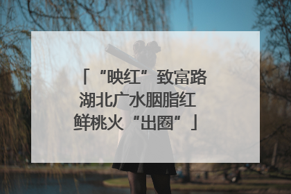 “映红”致富路 湖北广水胭脂红鲜桃火“出圈”