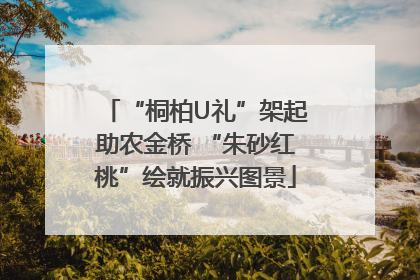 “桐柏U礼”架起助农金桥 “朱砂红桃”绘就振兴图景