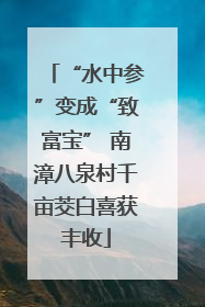 “水中参”变成“致富宝” 南漳八泉村千亩茭白喜获丰收