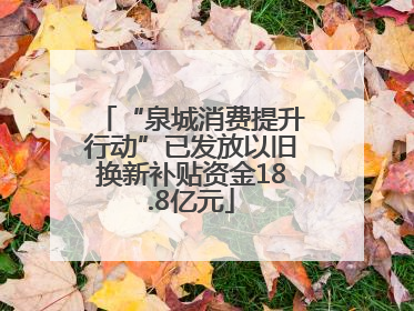 “泉城消费提升行动”已发放以旧换新补贴资金18.8亿元