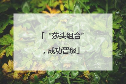“莎头组合”，成功晋级
