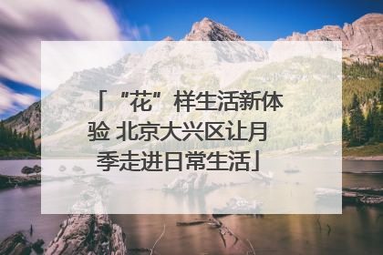 “花”样生活新体验 北京大兴区让月季走进日常生活
