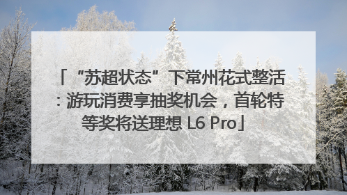 “苏超状态”下常州花式整活：游玩消费享抽奖机会，首轮特等奖将送理想 L6 Pro