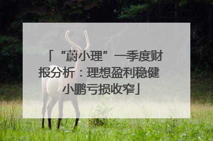 “蔚小理”一季度财报分析：理想盈利稳健 小鹏亏损收窄