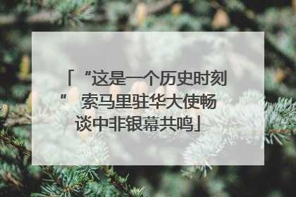 “这是一个历史时刻” 索马里驻华大使畅谈中非银幕共鸣