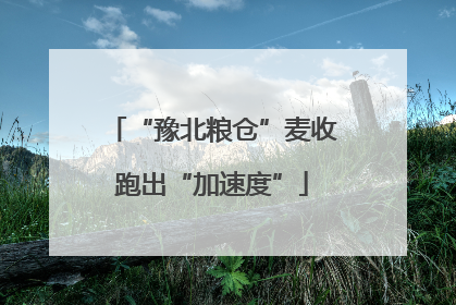 “豫北粮仓”麦收跑出“加速度”