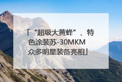 “超级大黄蜂”、特色涂装苏-30MKM 众多明星装备亮相