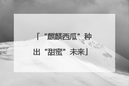 “麒麟西瓜”种出“甜蜜”未来
