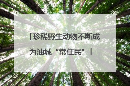 珍稀野生动物不断成为油城“常住民”