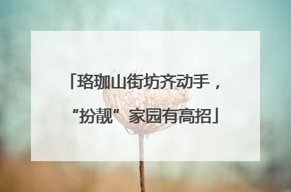 珞珈山街坊齐动手，“扮靓”家园有高招