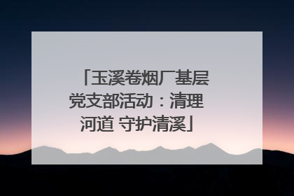 玉溪卷烟厂基层党支部活动：清理河道 守护清溪