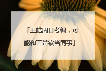 王皓周日考编，可能和王楚钦当同事