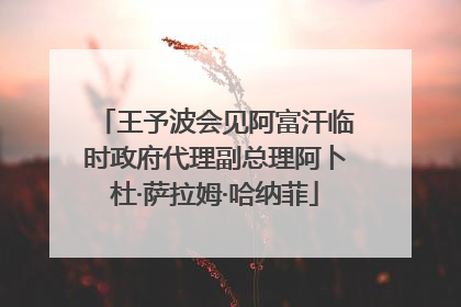 王予波会见阿富汗临时政府代理副总理阿卜杜·萨拉姆·哈纳菲