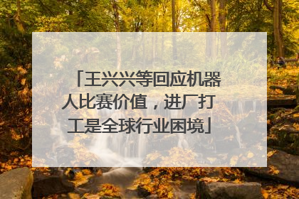 王兴兴等回应机器人比赛价值，进厂打工是全球行业困境