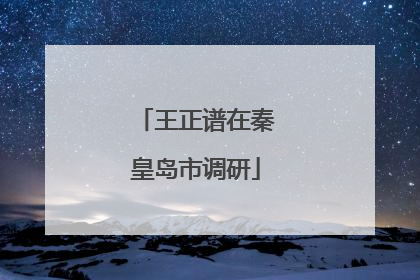 王正谱在秦皇岛市调研