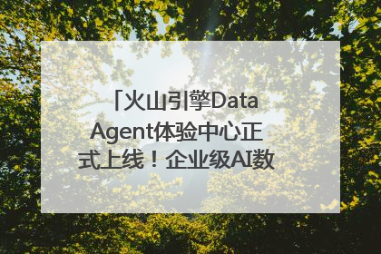 火山引擎Data Agent体验中心正式上线！企业级AI数据专家触手可及