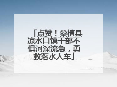 点赞！桑植县凉水口镇干部不惧河深流急，勇救落水人车