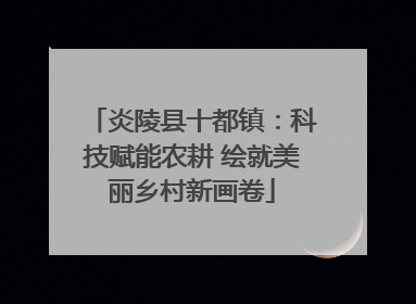 炎陵县十都镇：科技赋能农耕 绘就美丽乡村新画卷