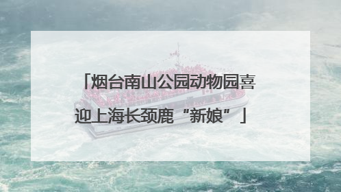 烟台南山公园动物园喜迎上海长颈鹿“新娘”