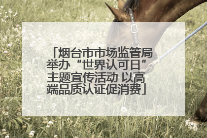 烟台市市场监管局举办“世界认可日”主题宣传活动 以高端品质认证促消费