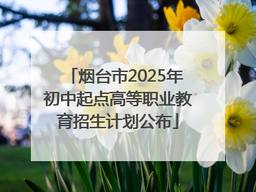 烟台市2025年初中起点高等职业教育招生计划公布