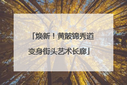 焕新！黄陂锦秀道变身街头艺术长廊