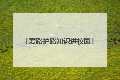 爱路护路知识进校园