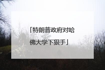 特朗普政府对哈佛大学下狠手