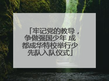 牢记党的教导，争做强国少年 成都成华特校举行少先队入队仪式