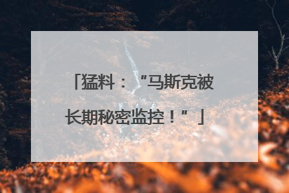 猛料：“马斯克被长期秘密监控！”