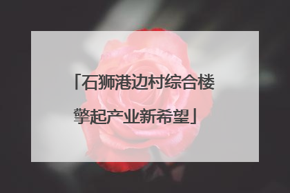 石狮港边村综合楼擎起产业新希望